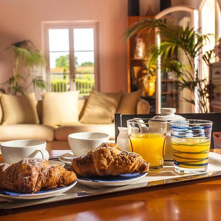 Cascina Canova B&B 산줄리아노테르메 외부 사진