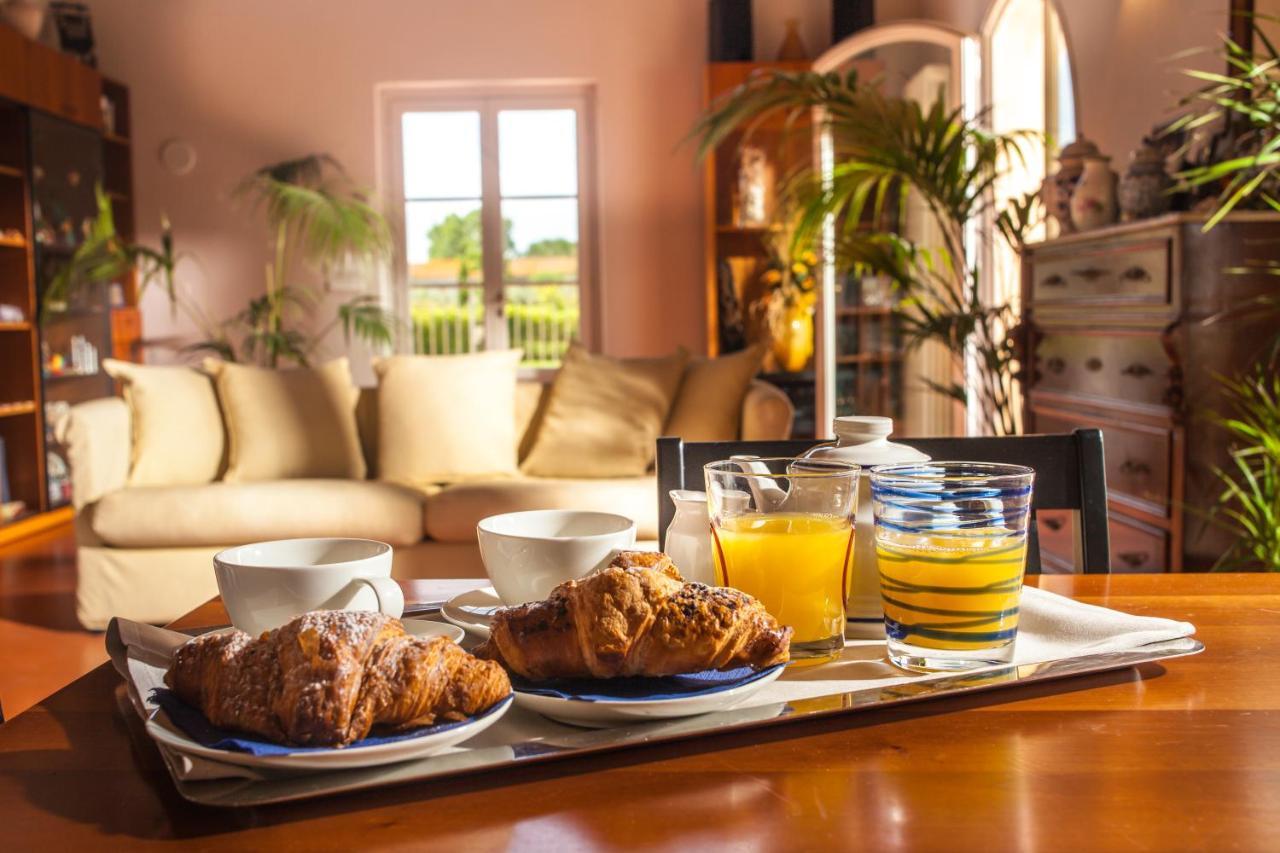 Cascina Canova B&B 산줄리아노테르메 외부 사진
