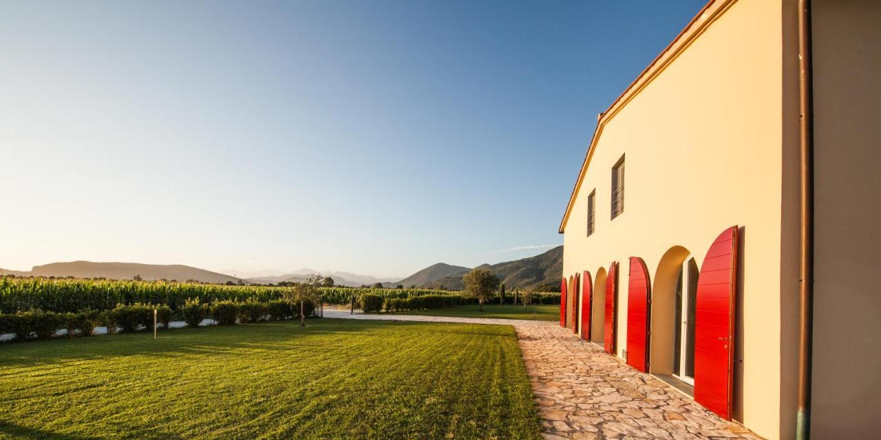 Cascina Canova B&B 산줄리아노테르메 외부 사진