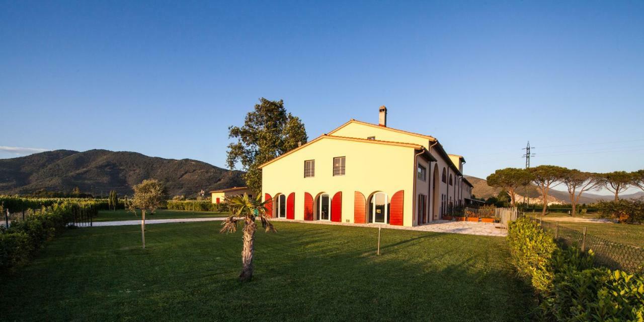 Cascina Canova B&B 산줄리아노테르메 외부 사진